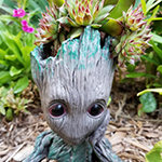 I Am Groot!