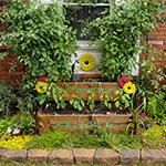 A Little Out of Control