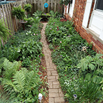 Waiting for the bloom explosion...