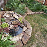 So much better than a patch of mud!