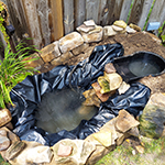 Rebuilding the pond