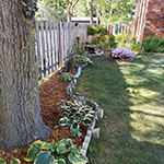 Filling in a new section