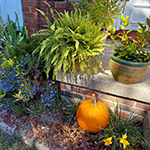 Going strong in October